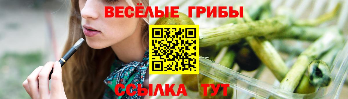 Псилоцибиновые грибы Psilocybine cubensis  Вход с VPN  Нефтеюганск 